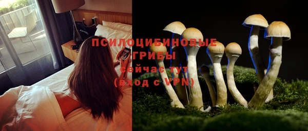 каннабис Армянск