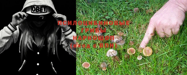 прущая мука Арсеньев