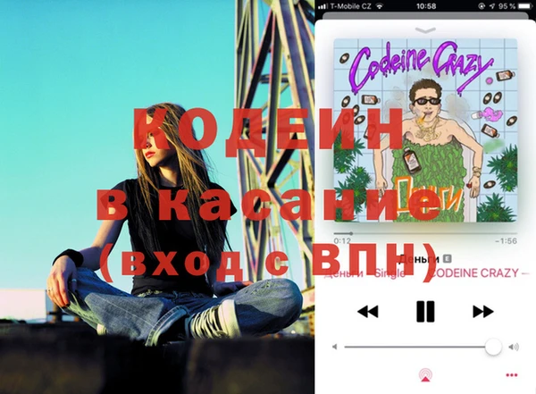 прущая мука Арсеньев
