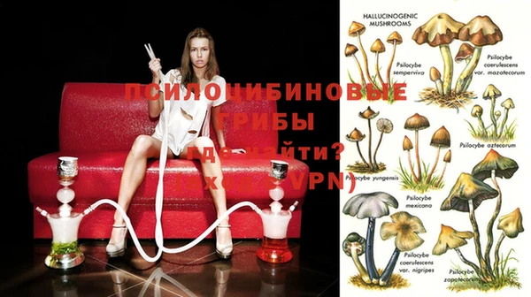 не бодяженный Аркадак
