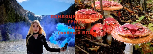 прущая мука Арсеньев