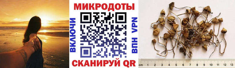 Галлюциногенные грибы прущие грибы  Нытва 